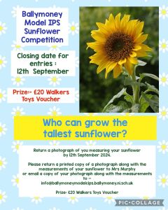 Eco : Sunflower Competition : Closing Date 12th September 2024