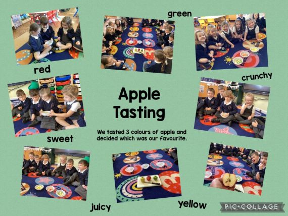 Year 1KO’N Apple Tasting