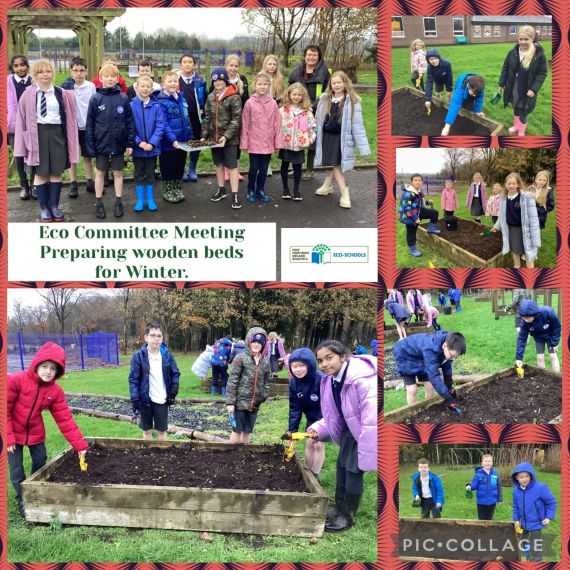 Eco Committee : School Garden : Winter Preparation Term 1B 2025