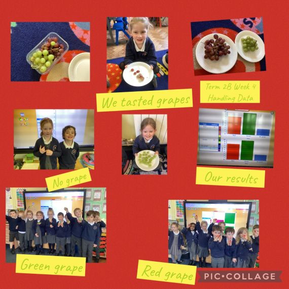 Year 1AH Handling Data