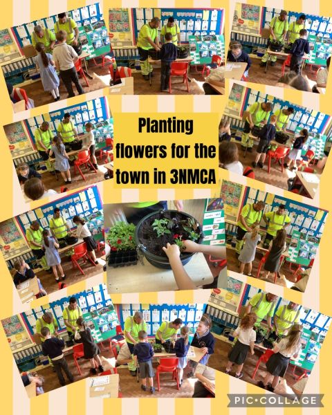 3NMCA - Planting flowers for the Council