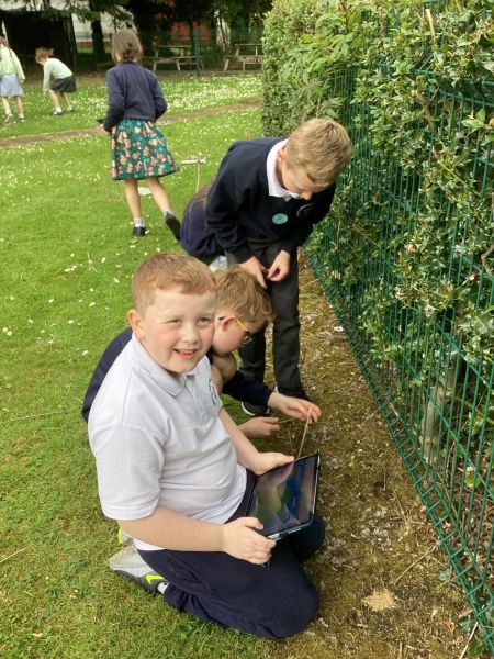 Yr 4 Celebrations in our school  Fun Friday : Wear Be Green Eco Day 