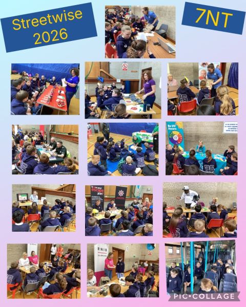 Streetwise 2026 for Y7NT 