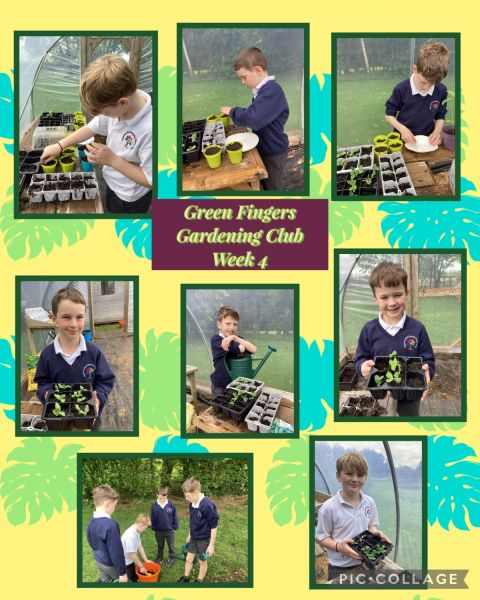 After Schools : Eco Green Fingers Club